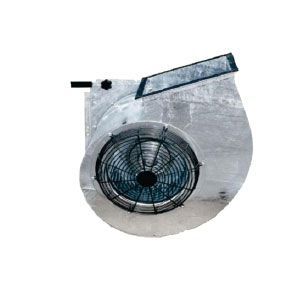 629466-12470280fFF.jpg